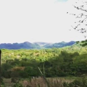 Meet your Posher, Terrence